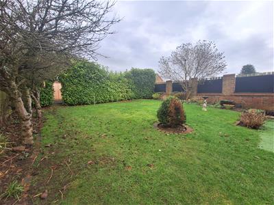 Picture 26